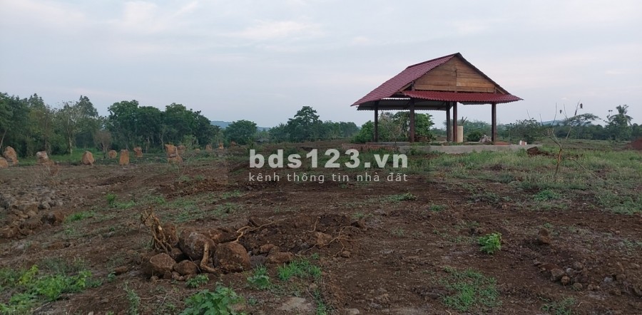 Ngộp bank bán gấp 2.7ha giá chỉ 199triệu/1000m2 đất nghĩ dưỡng Định Quán Đồng Nai
