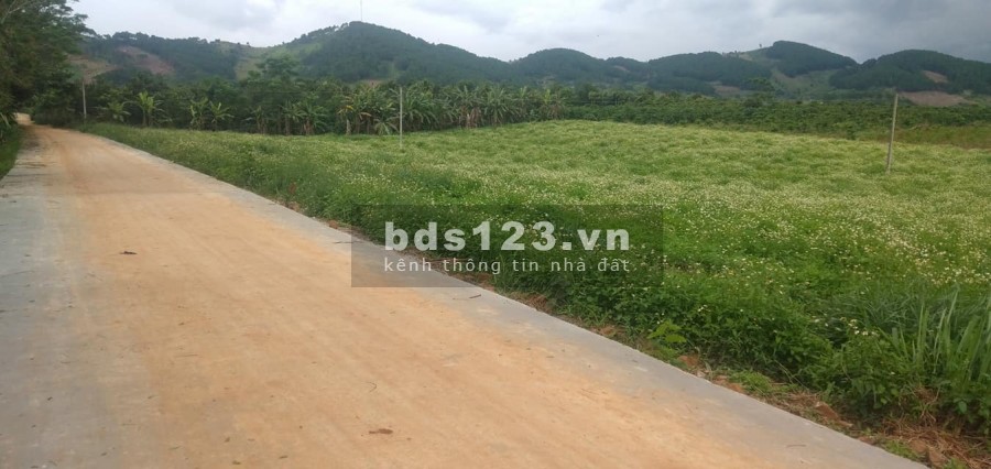 Bán lô đất 518m2 Giá 690 Triệu Đông Thanh, Lâm Hà, Cách Đà Lạt 21km