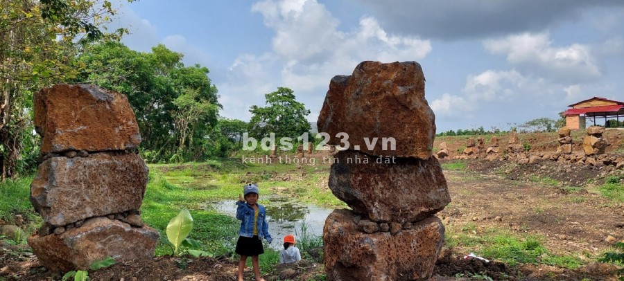 Ngộp bank bán gấp 2.7ha giá chỉ 199triệu/1000m2 đất nghĩ dưỡng Định Quán Đồng Nai