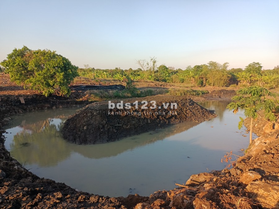 Ngộp bank bán gấp 2.7ha giá chỉ 199triệu/1000m2 đất nghĩ dưỡng Định Quán Đồng Nai