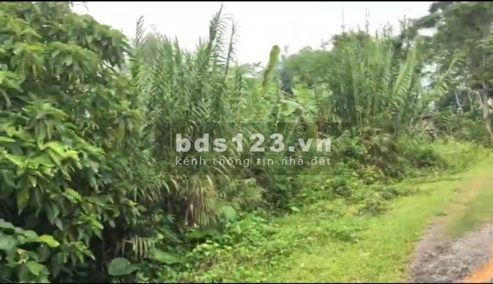 Cần chuyển nhượng mảnh đất đẹp có suối,thác to chỉ vài trăm triệu Tân Lạc