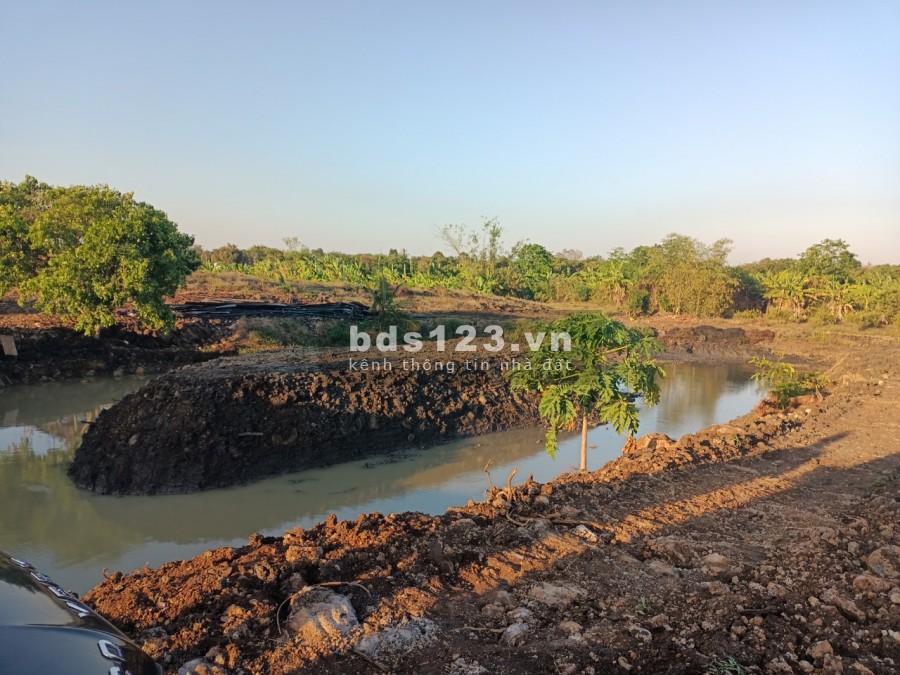 Ngộp bank bán gấp 2.7ha giá chỉ 199triệu/1000m2 đất nghĩ dưỡng Định Quán Đồng Nai