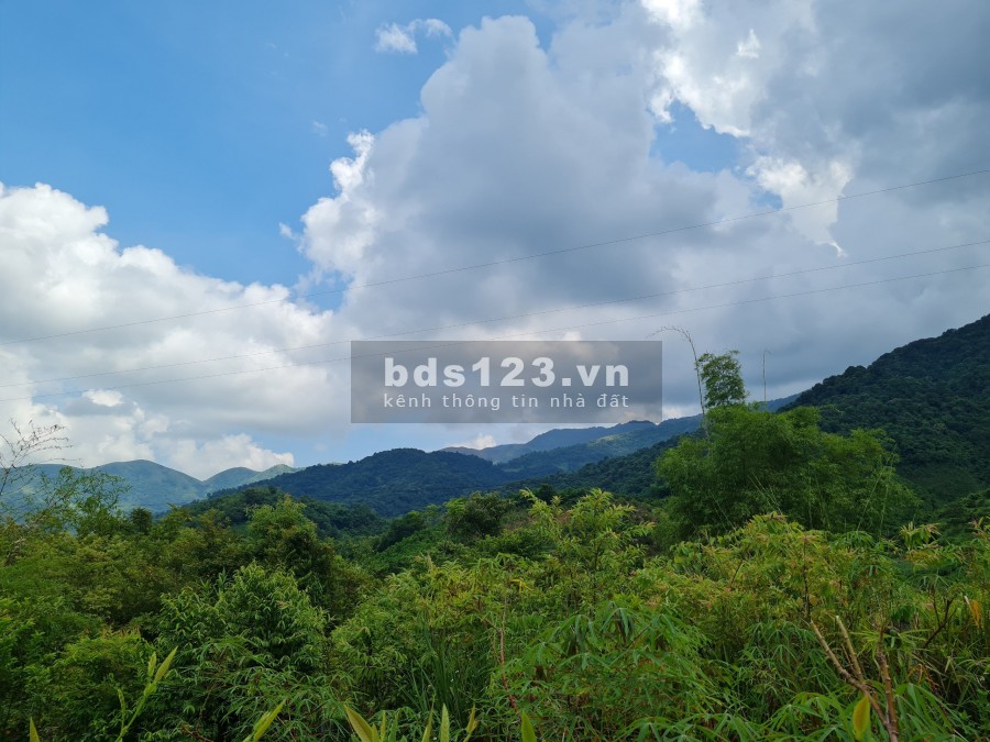 Cần bán lô đất 3000m rừng sản xuất địa thế bằng phẳng view cao thoáng tại Cao Phong, Hoà Bình