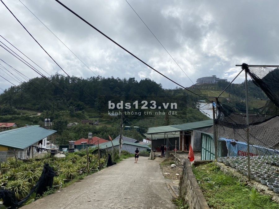 Đầu tư sinh lời khủng với lô đất diện tích 300m2, có sẵn 2 nhà cấp 4 chỉ có tại Sapa