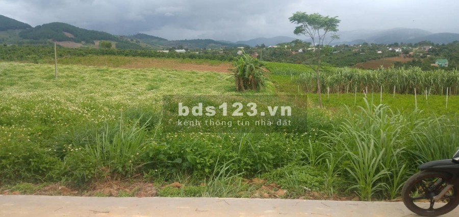 Bán lô đất 518m2 Giá 690 Triệu Đông Thanh, Lâm Hà, Cách Đà Lạt 21km