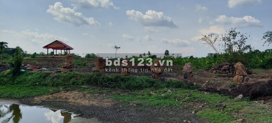 Ngộp bank bán gấp 2.7ha giá chỉ 199triệu/1000m2 đất nghĩ dưỡng Định Quán Đồng Nai