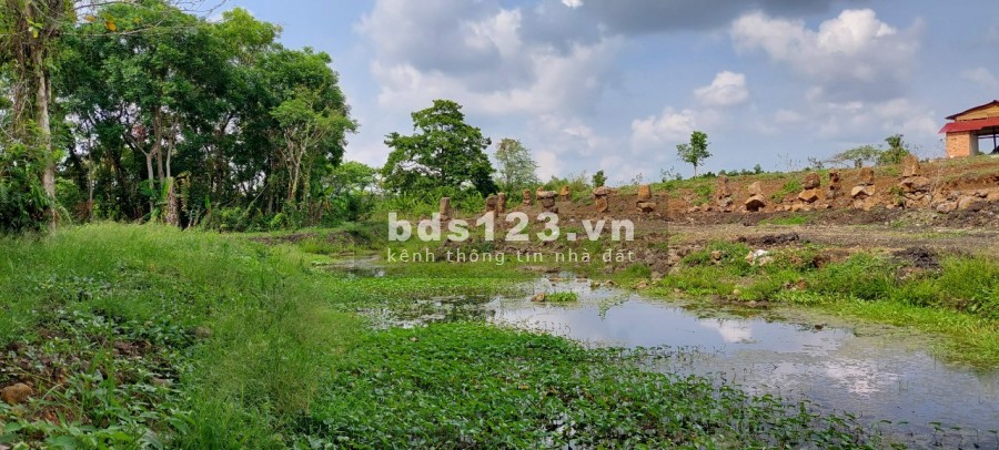 Ngộp bank bán gấp 2.7ha giá chỉ 199triệu/1000m2 đất nghĩ dưỡng Định Quán Đồng Nai