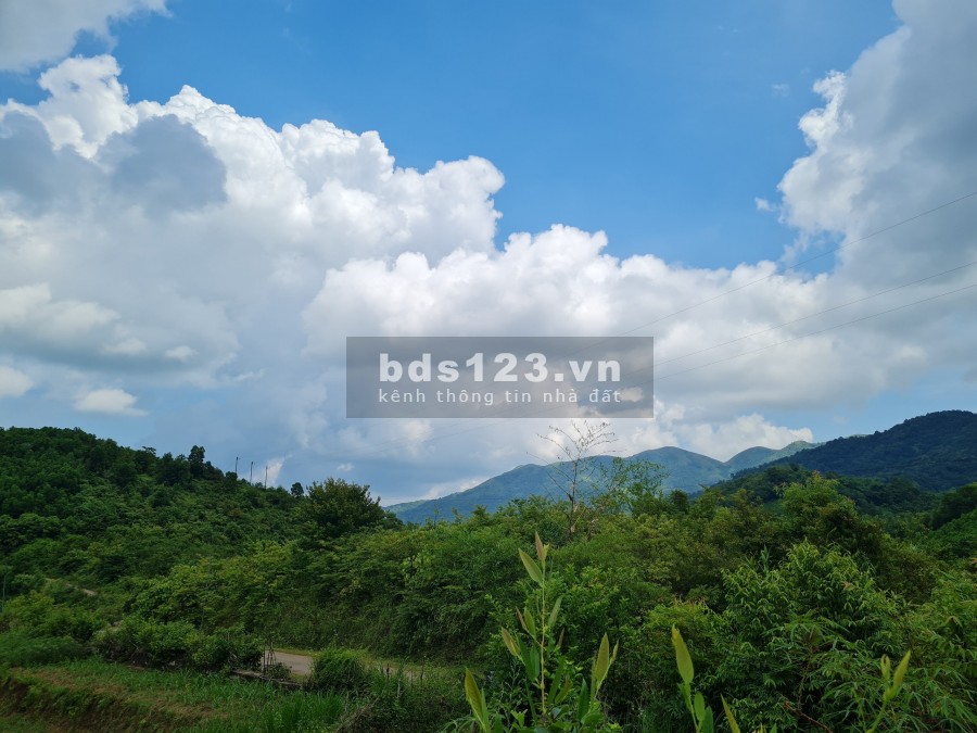 Cần bán lô đất 3000m rừng sản xuất địa thế bằng phẳng view cao thoáng tại Cao Phong, Hoà Bình