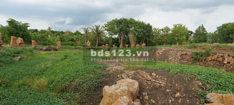 Ngộp bank bán gấp 2.7ha giá chỉ 199triệu/1000m2 đất nghĩ dưỡng Định Quán Đồng Nai