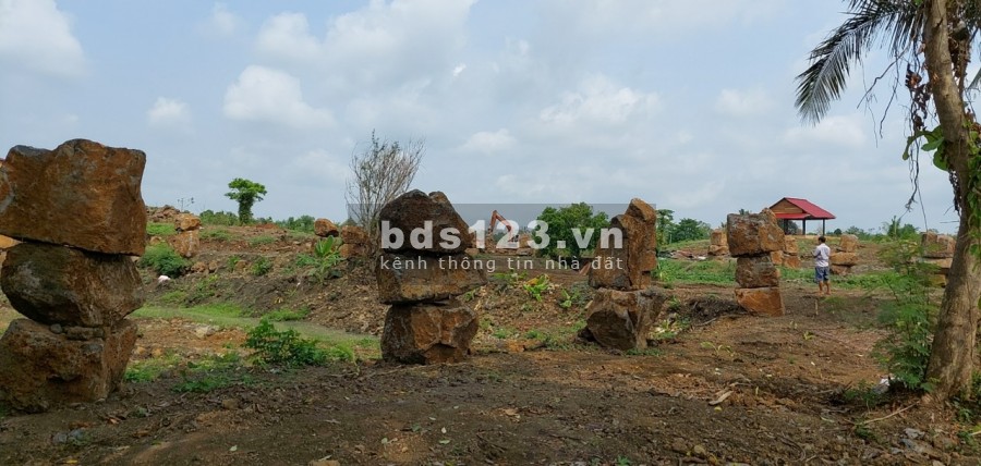 Ngộp bank bán gấp 2.7ha giá chỉ 199triệu/1000m2 đất nghĩ dưỡng Định Quán Đồng Nai