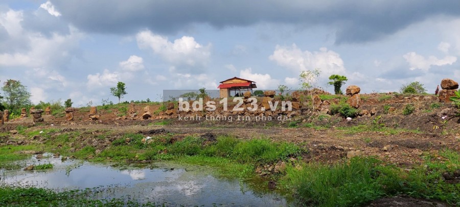 Ngộp bank bán gấp 2.7ha giá chỉ 199triệu/1000m2 đất nghĩ dưỡng Định Quán Đồng Nai