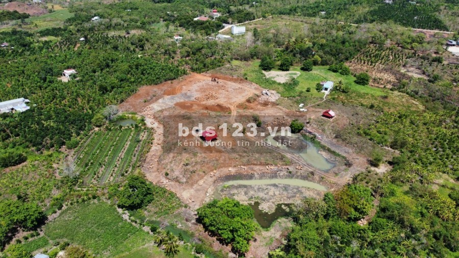 Ngộp bank bán gấp 2.7ha giá chỉ 199triệu/1000m2 đất nghĩ dưỡng Định Quán Đồng Nai