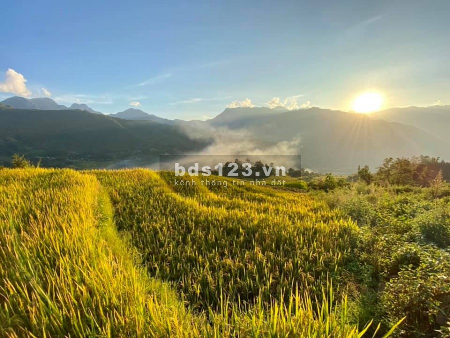 BĐS nghỉ dưỡng Y Tý-Sapa 2, sinh lời nhanh giá chỉ từ 1tr/m2 view ruộng bậc thang
