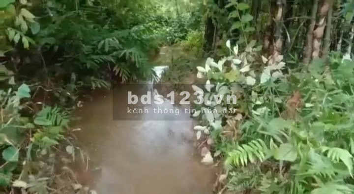 Cần chuyển nhượng mảnh đất đẹp có suối,thác to chỉ vài trăm triệu Tân Lạc