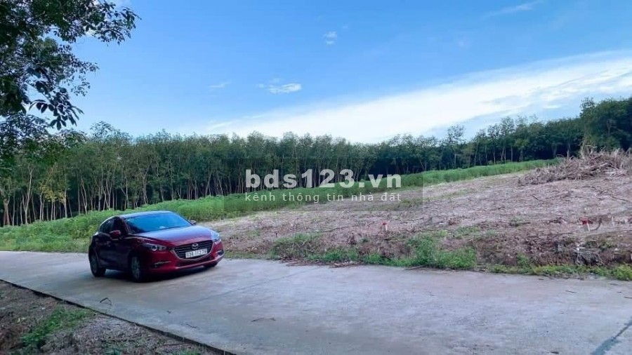 Bán đất gần Cụm kcn Minh Hưng và nhánh 2 đường lớn Cao Bá Quát và dh05 đang lên nhựa