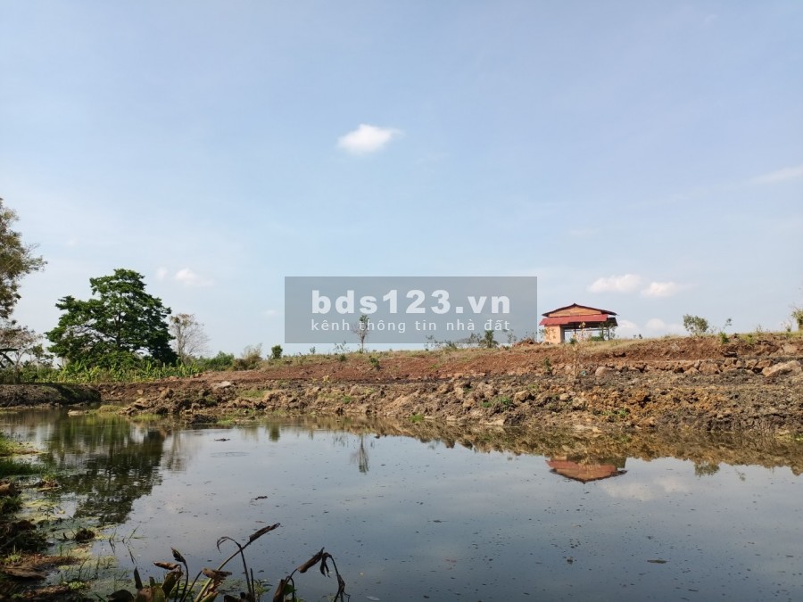 Ngộp bank bán gấp 2.7ha giá chỉ 199triệu/1000m2 đất nghĩ dưỡng Định Quán Đồng Nai