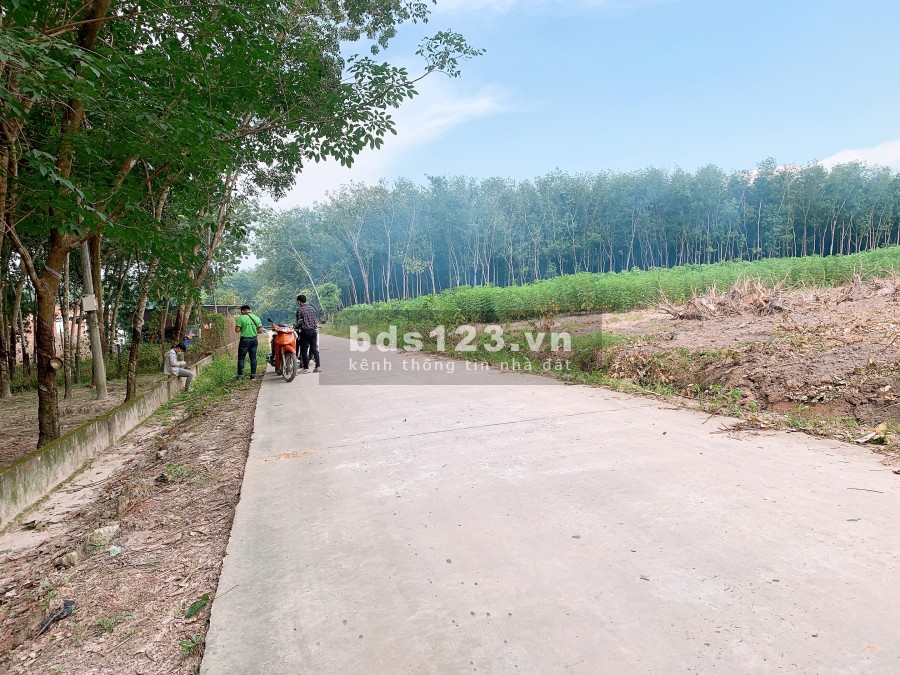 Bán đất gần Cụm kcn Minh Hưng và nhánh 2 đường lớn Cao Bá Quát và dh05 đang lên nhựa