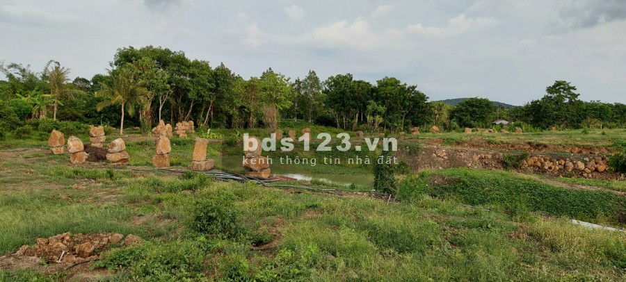 Ngộp bank bán gấp 2.7ha giá chỉ 199triệu/1000m2 đất nghĩ dưỡng Định Quán Đồng Nai