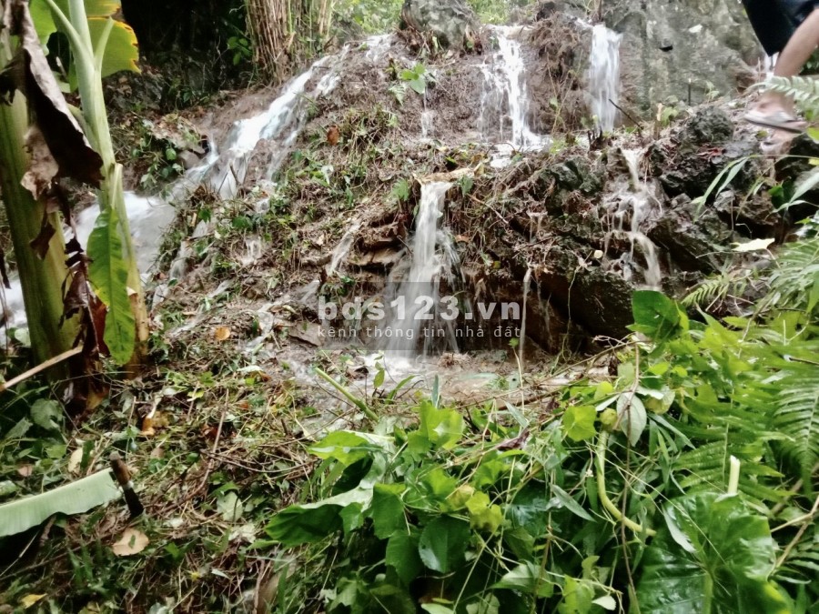 Cần chuyển nhượng mảnh đất đẹp có suối,thác to chỉ vài trăm triệu Tân Lạc