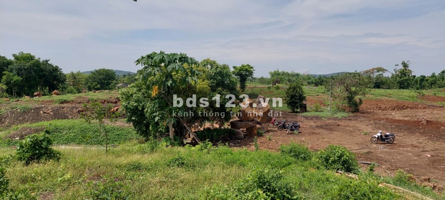 Ngộp bank bán gấp 2.7ha giá chỉ 199triệu/1000m2 đất nghĩ dưỡng Định Quán Đồng Nai