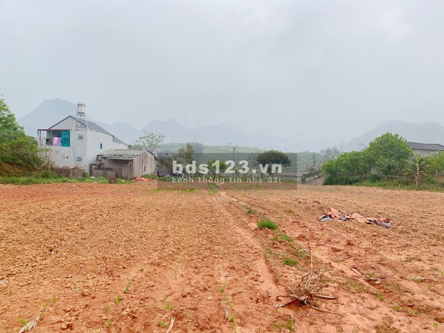 Sở hữu ngay lô đất dr 3.991 đất vườn tại nông trường Mộc Châu, giá tốt, vuông vức, sổ sẵn