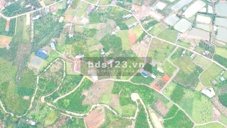 Còn duy nhất lô đất đẹp diện tích sử dụng 20m*50m thành phố Bảo Lộc giá bán 2.1 tỷ