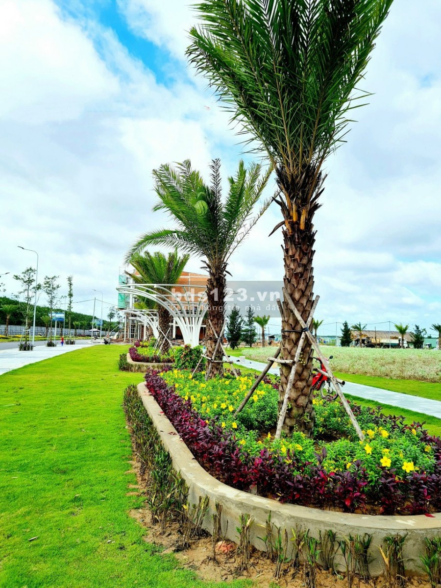 Đất sổ đỏ liền kề sân bay Long Thành giá đầu tư chỉ với 16 triệu/m2 liên hệ 0933507009