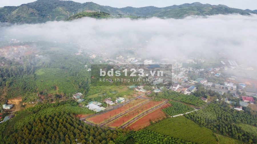 Bán gấp lô đất ngay sát Quốc Lộ 20, view săn mây cực đẹp đã có sổ bàn giao ngay