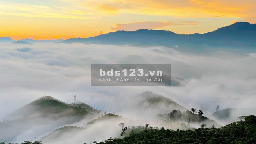 Bán gấp lô đất ngay sát Quốc Lộ 20, view săn mây cực đẹp đã có sổ bàn giao ngay