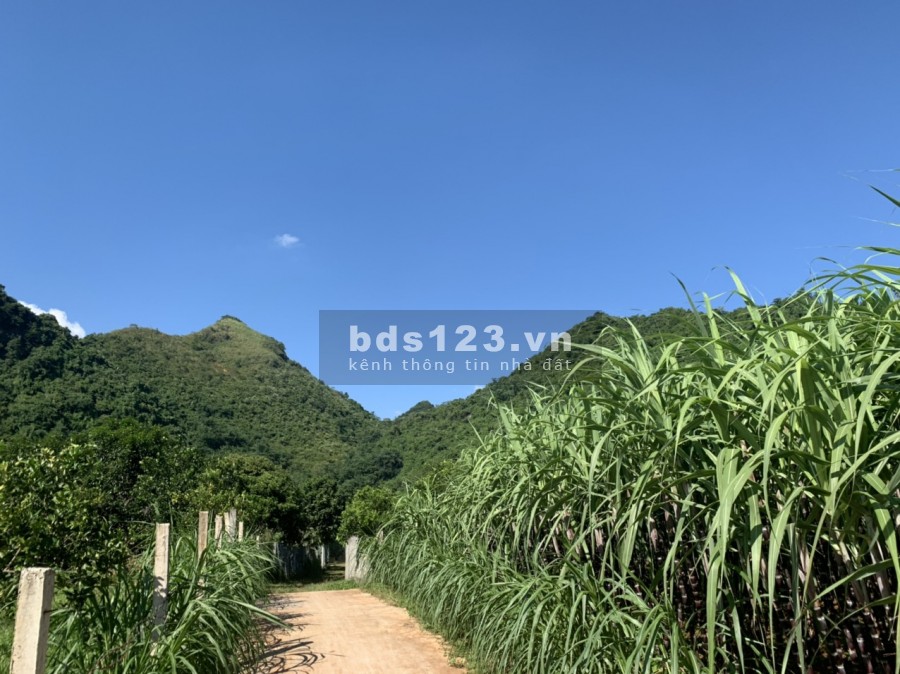 Cần bán lô đất diện tích 1200m2 full thổ cư tại xã Tân Phong Cao Phong Hòa Bình