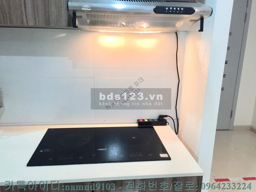 Chính chủ cho thuê cho thuê căn 2N full siêu rẻ chung cư Golden Palace, giá rẻ