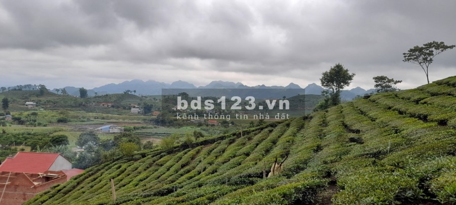 Bán lô đất ngay tại vị trí đắc địa,tiềm năng nhất TTNT Mộc Châu đã có sổ, lh 0985961926