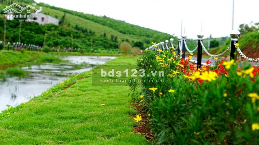 Bán đất thổ cư giá rẻ thích hợp đầu tư nhanh trung tâm Bảo Lộc giá bán 730 triệu. sổ sẵn