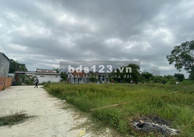 Đất thổ cư Bình Chánh, đường Hoàng Phan Thái, đối diện chợ Bình Chánh sổ từng nền