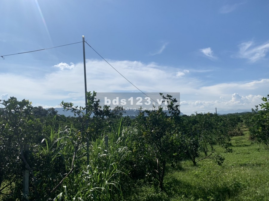 Cần bán lô đất diện tích 1200m2 full thổ cư tại xã Tân Phong Cao Phong Hòa Bình