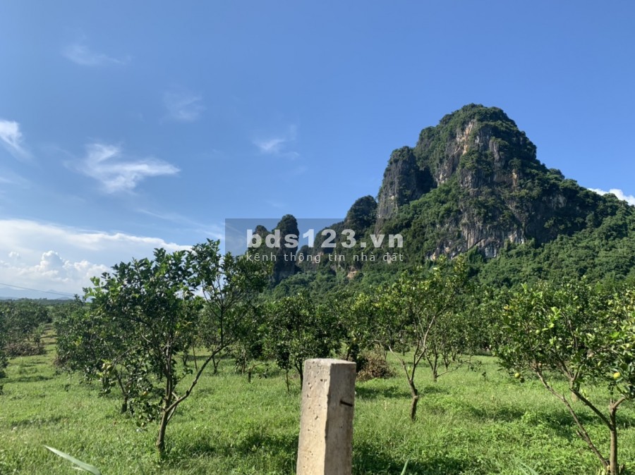 Cần bán lô đất diện tích 1200m2 full thổ cư tại xã Tân Phong Cao Phong Hòa Bình