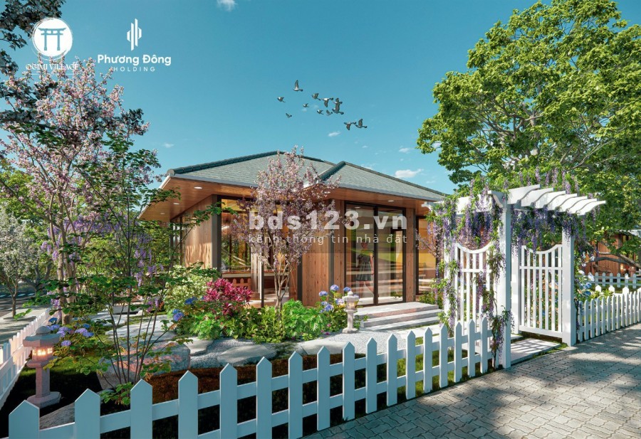 Cần ra nhanh lô đất Quốc Lộ 20 xã Đại Lào Thành Phố Bảo Lộc view săn mây cực đẹp, đã có sổ