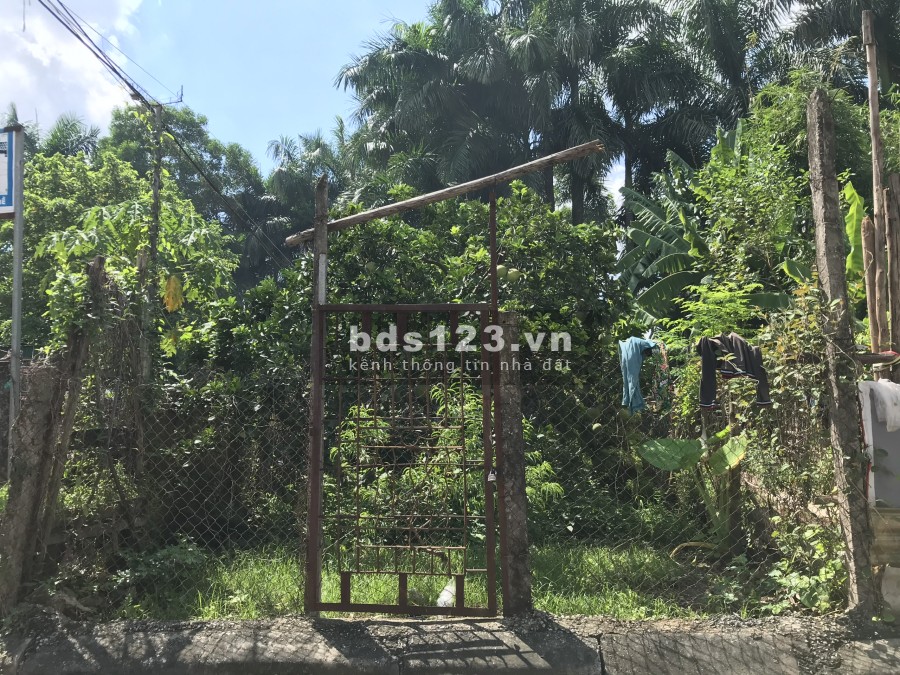 Bán lô đất 52m2, tặng giấy phép xây dựng Nam Đuống, Long Biên, giá bán chỉ nhỉnh 4 tỷ