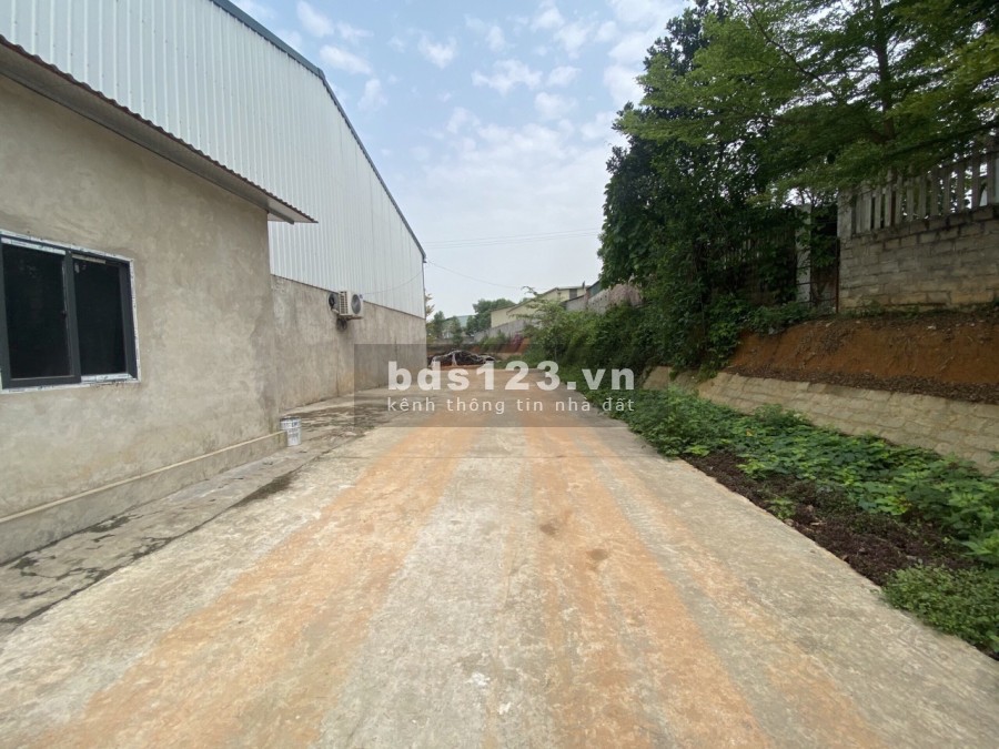 Cần bán gấp xưởng tại Ba Vì diện tích sử dụng 7628 tặng xưởng đã xây 1000m2, lh 0968729955