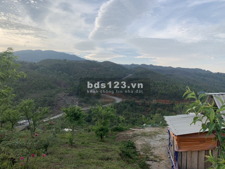 Bán mảnh đất diện tích rộng phù hợp làm Homestay tại Phìn Hồ Y Tý ( SaPa 2) giá tốt