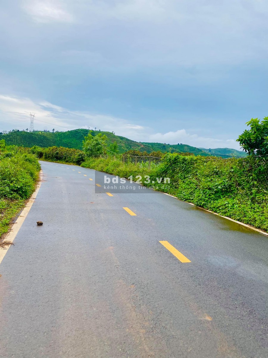 Lô 600m2 Đất Nghỉ Dưỡng Giá 630 Triệu, View Đồi, Nam Ban Lâm Hà liên hệ 0935434534