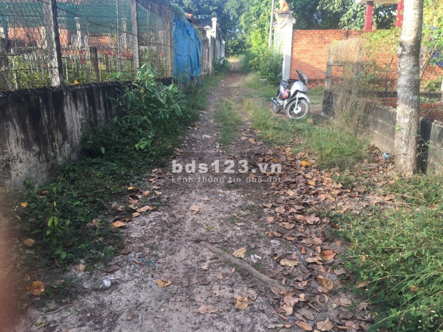 Cần bán đất + nhà vườn xã An Nhơn Tây Củ Chi 1/ đường Bến Đình vô 50m DT 4300m2 300thổ cư