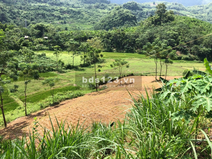 Bán lô đất rẻ đẹp với tổng diện tích dtsd 3500m2 tại Mỹ Hoà, Tân Lạc, lh 0833066663
