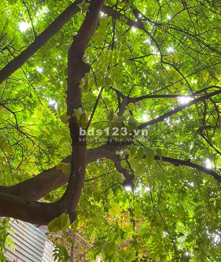 Bán Biệt thự VÍP khu đô thị Xa La - Hà Đông, diện tích sử dụng 150m2, 4 tầng giá bán 14 tỷ