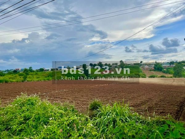 Bán đất nền mặt tiền đường nhựa xã Tu Tra, huyện Đơn Dương, khu dân sư sinh sống