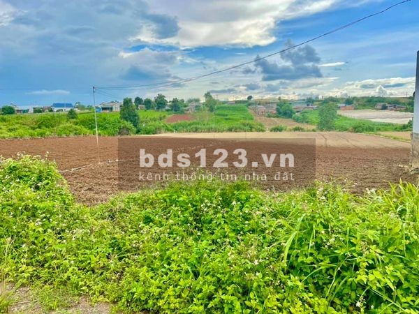 Bán đất nền mặt tiền đường nhựa xã Tu Tra, huyện Đơn Dương, khu dân sư sinh sống
