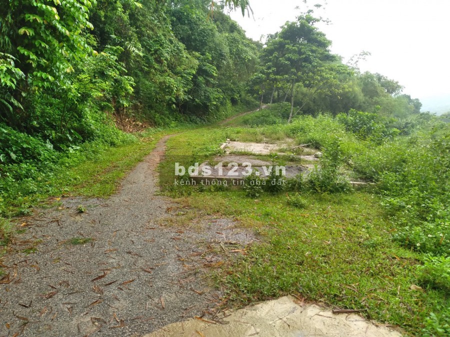Bán đất 12.000m có 400 đất ở bám suối tại Lương Sơn giá hơn 4 tỷ