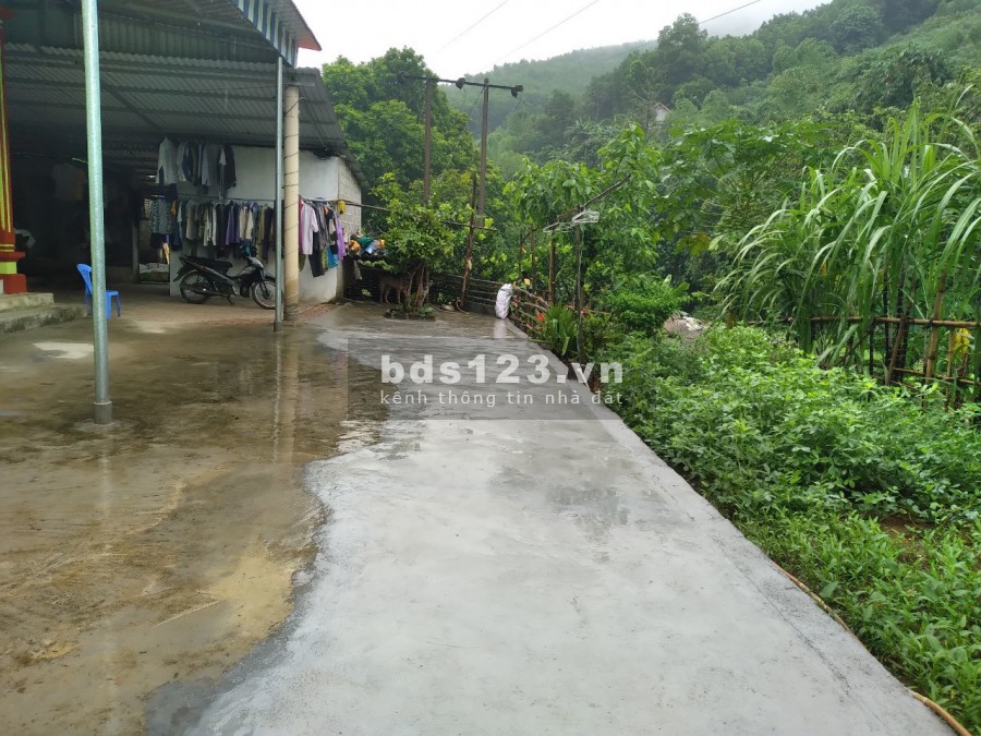 Bán đất 12.000m có 400 đất ở bám suối tại Lương Sơn giá hơn 4 tỷ
