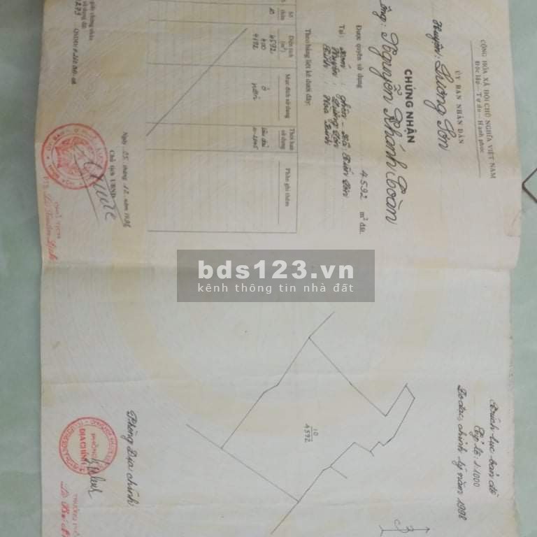 Bán đất 12.000m có 400 đất ở bám suối tại Lương Sơn giá hơn 4 tỷ