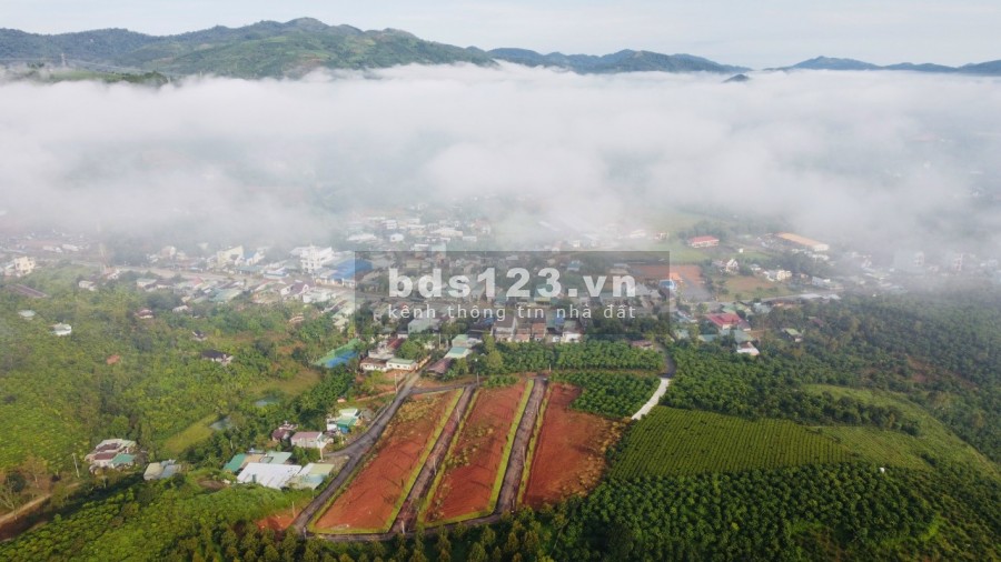 Cần bán gấp lô 2 mặt tiền sát QL20 ngay trung tâm sổ riêng từng nền, cọc xong công chứng ngay